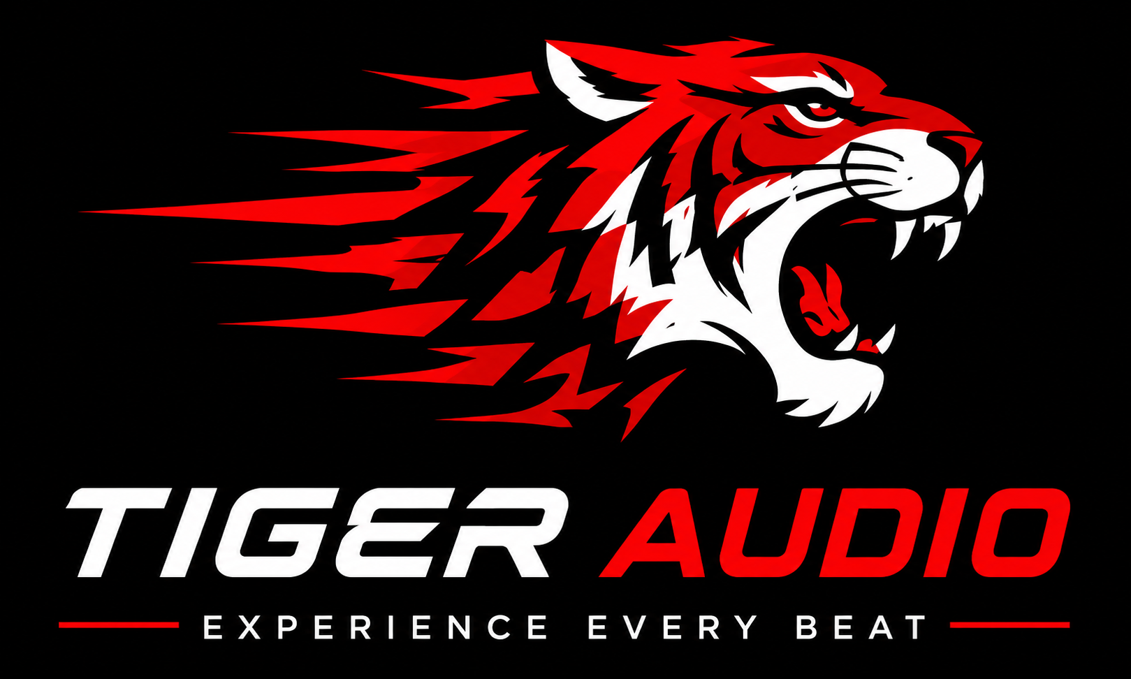 TigerAudio — Experience Every Beat
